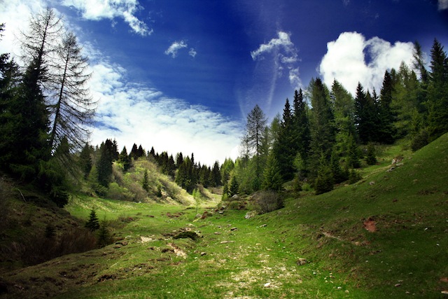 Ostrość w fotografii krajobrazowej