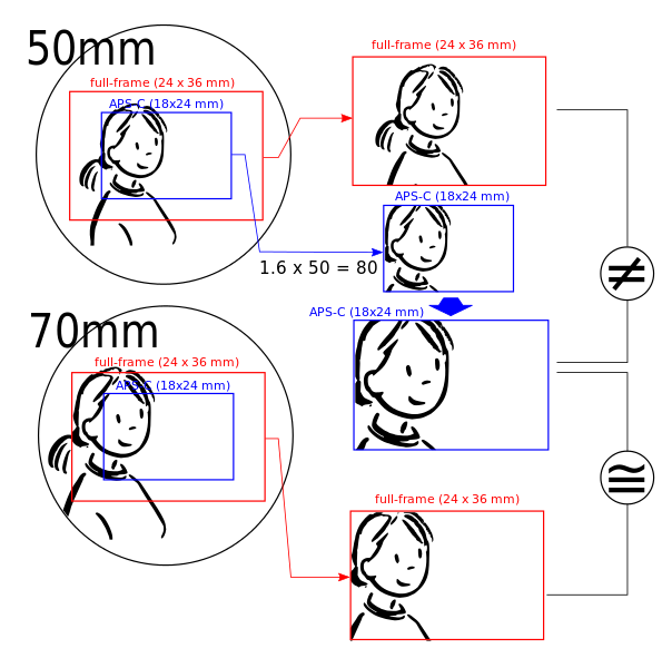 matryca APS-C vs. matryca pełnoklatkowa wady i zalety