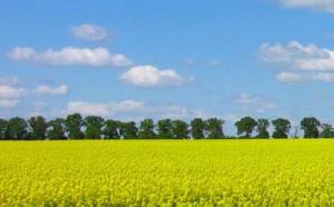 Kolor żółty powoduje pozytywne skojarzenia