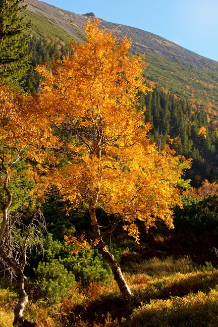 Fotografowanie jesiennych krajobrazów